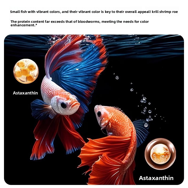 Yee Krill & Baby Shrimp Trocke – Dry Food Baby Bewertung und Preis